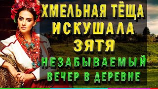 ТЕЩА И ЗЯТЬ  ВЕЧЕР НАЕДИНЕ Интересные истории из жизни Короткие аудио рассказы [upl. by Bedwell]