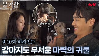 910화 메이킹 강아지도 바들바들 마력의 귀물 이준★ 불가살 EP11 [upl. by Moule797]