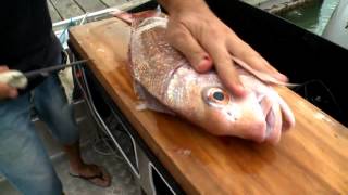 How to fillet a fish easily [upl. by Hewe]