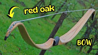 Making a Red Oak Recurve Bow [upl. by Kapeed]