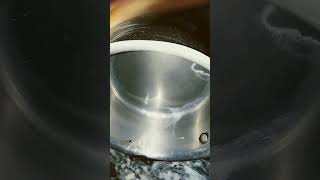 pot wash with homemade washing soda👍Amezing tip vairalshort [upl. by Schilling]