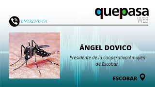 Ángel Dovico  Presidente de la Cooperativa Amuyén de Escobar  Que Pasa Radio 11024 [upl. by Silenay]