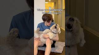 Hurting Your Dog vs Your Dog Hurting You 🐶 TheJessiiShow iB JesseTheologus [upl. by Maisel]