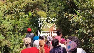 Regenerative Agriculture at Thithi Coffee Factory [upl. by Crescen]