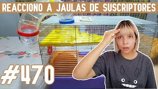 REACCIONO a JAULAS para HAMSTER de SUSCRIPTORES [upl. by Asilana40]