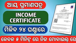 Income certificate online apply Odisha 202223  How to apply online income certificate in Odisha [upl. by Hubble515]