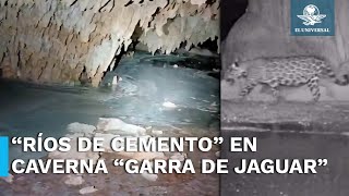 Reportan “ríos de cemento” en acuífero de caverna “Garra de Jaguar” sobre tramo 5 del Tren Maya [upl. by Yuri]