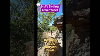 BIRDING kanopolis State Park kansas  Buffalo Track Canyon Trail FULL Video on Youtube birding [upl. by Yevol]