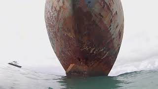 Snorkeling the La Famille Express Shipwreck in Providenciales [upl. by Aneerak849]