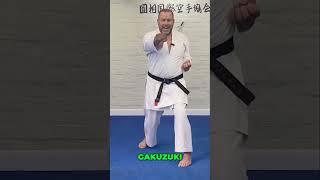 Soto Uke Gyaku Zuki A Few Tips When Stepping shorts shotokankarate shotokan karate [upl. by Moneta]