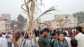 Basai Gurgaon ChhathPuja24 viralvideo subscribemychannel vlog trending likeandsubscribe trend [upl. by Yadrahs]