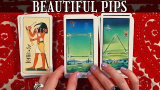 An Unopened Deck  Ibis Tarot [upl. by Wyne]