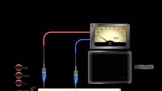 Propagation de linflux message nerveux  SVT BAC Avec soustitres [upl. by Sopher70]