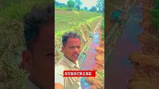 agriculture raithubidda farming farmer agriculturefarming AKRFARMS [upl. by Odelinda342]