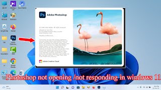 How to fix Photoshop not openingnot responding in windows 11 [upl. by Akirdnahs908]