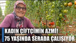 Kadın Çiftçinin Azmi Kocası 5 Çocukla Bıraktı 75 Yaşında Ekmeğini Serada Çalışıyor  AGRO TV HABER [upl. by Catha]