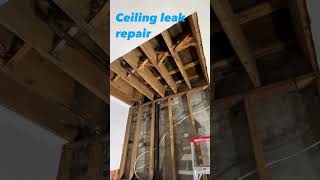 Ceiling leak repair carpentertoronto carpenter carpenterlife demolition drywallinstallation [upl. by Lolanthe]