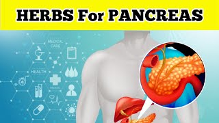 The 12 Herbs for A Healthy Pancreas [upl. by Flowers]