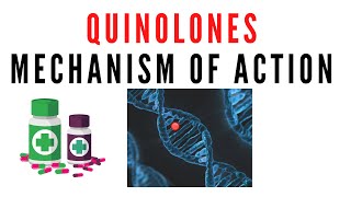 Quinolones pharmacology  Mechanism of action of quinolone antibiotics [upl. by Faubion]