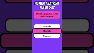 Human Anatomy Flash Quiz 3 wordtrivia quiz flashquiz [upl. by Llennahs289]