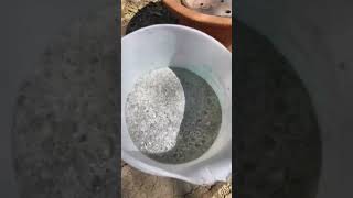 FERTILIZANTE con CASCARONES DE HUEVO Huerta planta jardinería✅ [upl. by Alaham470]