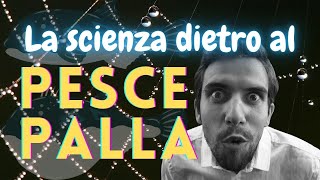 La SCIENZA dietro il PESCE PALLA Fai crescere al massimo il tuo pesce [upl. by Devin]