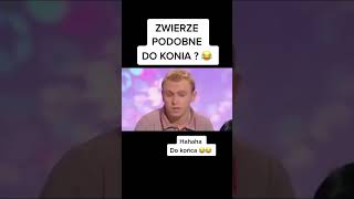 Zwierzę podobne do konia 🤔🤔 polska polskiinternet familiada memy strasburger smieszne [upl. by Ramunni]