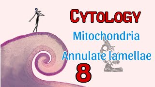 Cytology ll Mitochondria amp Annulate lamellae [upl. by Alfeus]