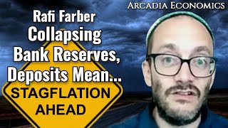 Rafi Farber Collapsing Bank Reserves Deposits Mean Stagflation Just Ahead [upl. by Saxet]