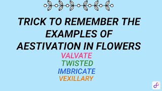 aestivation In flowers trick to remember examplesMorphology of Flowering Plantsneet class 11 [upl. by Laryssa64]