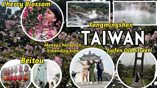 TAIWAN CHERRY BLOSSOM SEASON WITH YANGMINGSHAN BEITOU TOUR  3D2N ITINERARY [upl. by Edith66]