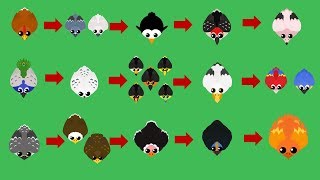 Mopeio ALL BIRDS GAMEPLAY  All Bird Biome Birds  Rare Birds [upl. by Collie]