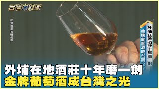 外埔在地酒莊十年磨一劍 金牌葡萄酒成台灣之光 20241207【台灣向錢衝】Part5 [upl. by Htebsil611]