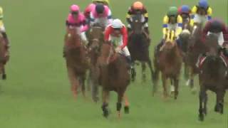 長谷川豊アナの競馬実況 2007年 フローラステークス ベッラレイア [upl. by Casandra]