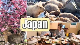 Capybaras Chill Out in Izu Hot Springs  Wasabi Museum🍣🇯🇵 Japan vlog part3 [upl. by Arlan922]