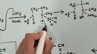 PaalKnorr Synthesis Preparation of Pyrrole derivatives from 14 dicarbonyl compounds [upl. by Margetts126]