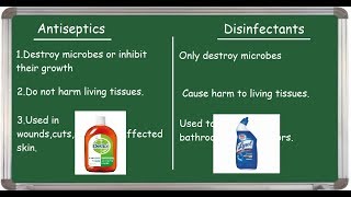 Antiseptic Vs Disinfectant differences English [upl. by Body715]