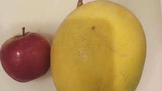 slicing apple sweet mango and mikansatisfying fruit viral [upl. by Assenad]