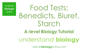 Food tests Benedicts starch Emulsion Biuret Alevel Biology OCR A Eduqas Edexcel AQA [upl. by Ruthe730]