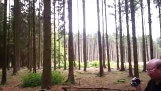 Walking In The Ardennes Forest [upl. by Hsak]