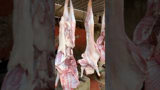 বাঙালি মাছ ও মাটন বাজার  bengali fish andmutton market  shorts youtubeshorts amarbajar fishing [upl. by Alberic]