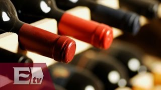 Los mejores vinos mexicanos  Ricardo Salas [upl. by Elynad]