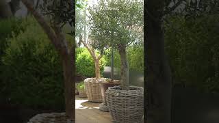 Die schönsten Balkon Ideen 🌿 und Garten Gestaltung 😍 outdoor compilation [upl. by Bolten]