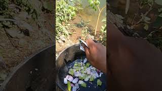 pesca y cocina fishing pescaderia lospecesenelrio [upl. by Haugen]