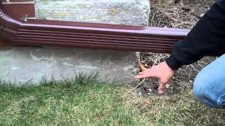 Downspout Extension Length FAQ [upl. by Anavlys538]