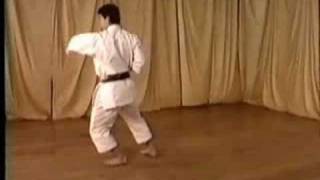 Nijushiho Ohta Sensei JKA Shotokan [upl. by Oirromed]