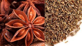 All about star anise and anise seeds  health benefits home remedies anise tea amp nutrition [upl. by Trotter]