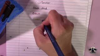 Staedtler Triplus Ballpoint Pen [upl. by Eemaj]