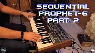 Sequential Prophet 6 Part 2  No Talking [upl. by Adneram]