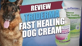 Triderma Fast Healing Dog Cream Review [upl. by Ricker]